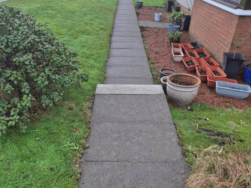 Home page reviews background